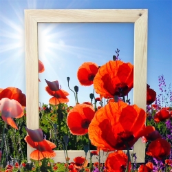 Rama surowa sosna 40x60 pusta 2/1